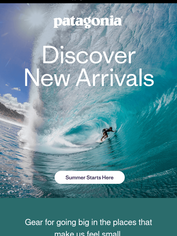 Newsletter preview: Summer ’26 has landed