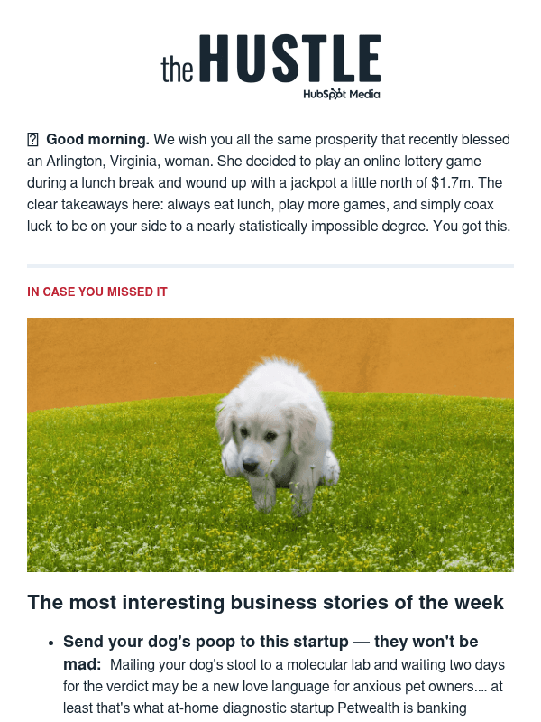 Newsletter preview: 💩  A startup’s crapshoot