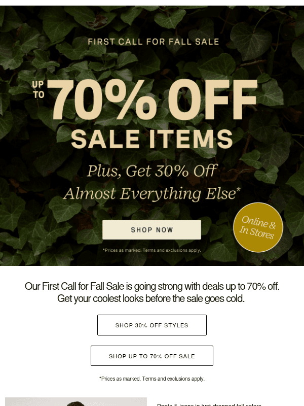 Newsletter preview: Get up to 70% Off During the First Call for Fall Sale