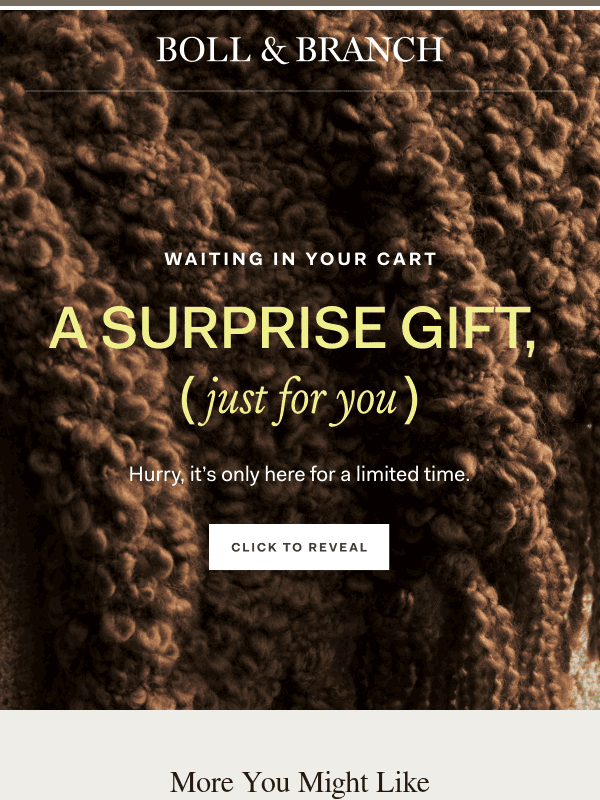Newsletter preview: A free gift is waiting in your cart