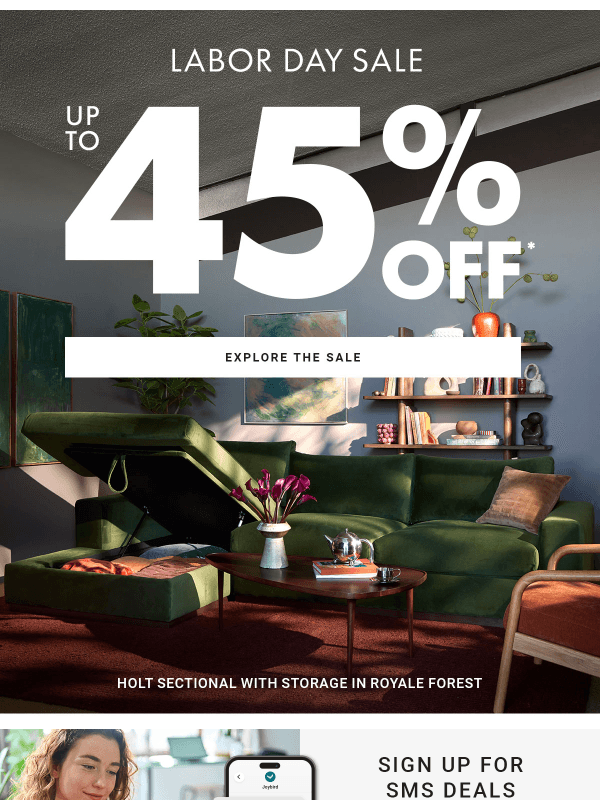 Newsletter preview: ⏳Labor Day Sale ends soon!