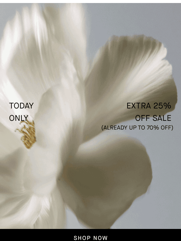 Newsletter preview: One Day To Save An Extra 25% Off Sale