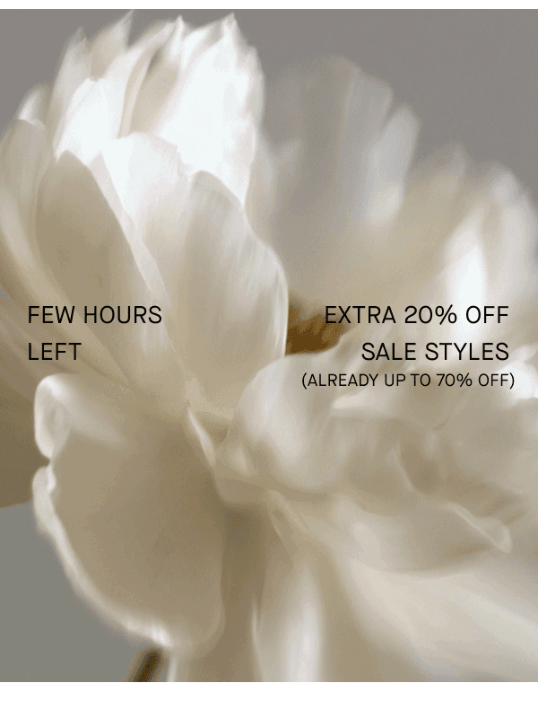 Newsletter preview: Few Hours Left: Extra 20% Off Sale Styles