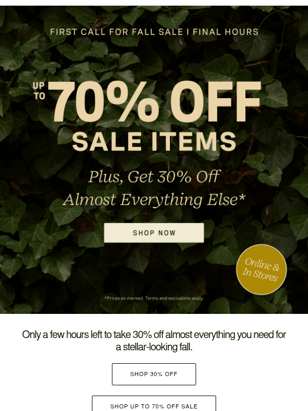 Newsletter preview: LAST CHANCE: 30% Off Almost Everything Ends Tonight