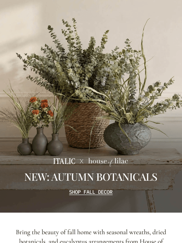 Newsletter preview: NEW: Autumn Botanicals