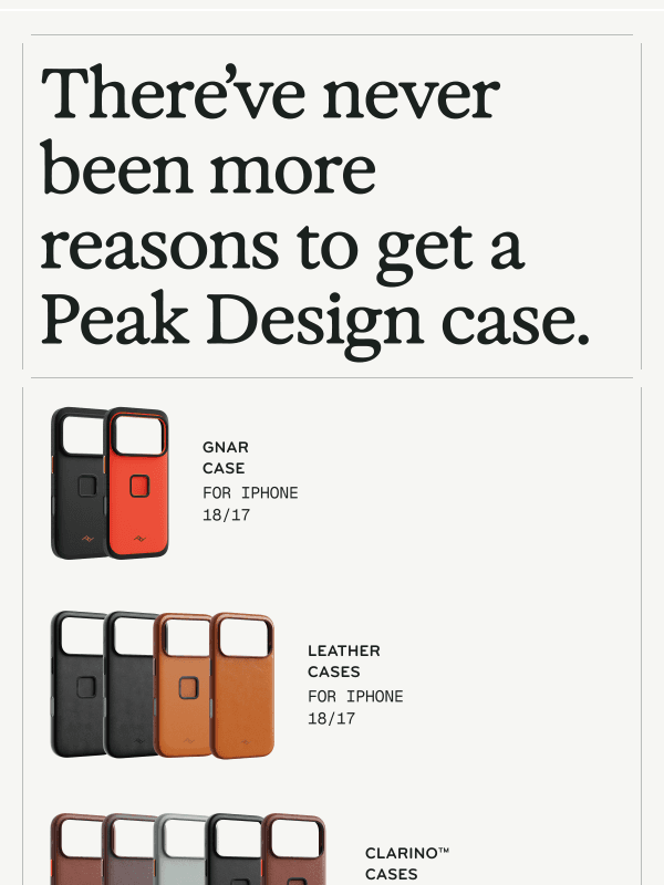 Newsletter preview: Flawless Phone Cases