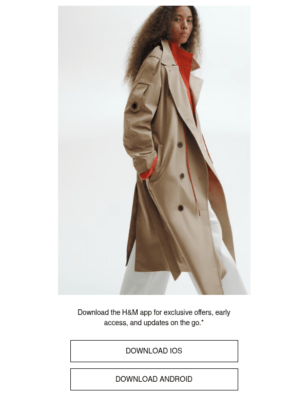 Newsletter preview: Today only: 20% off in the app