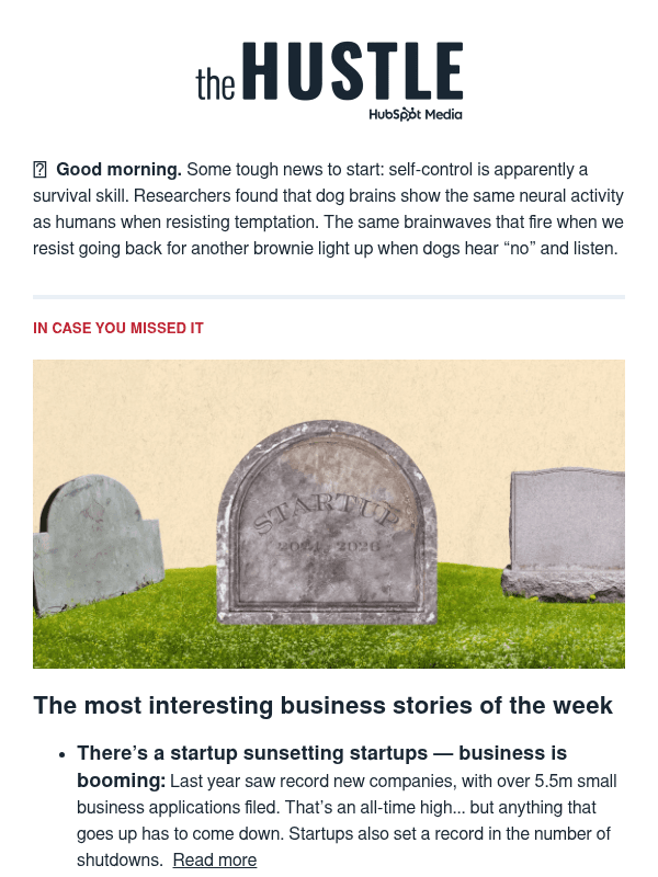 Newsletter preview: 🐝  A buzzy hotel amenity