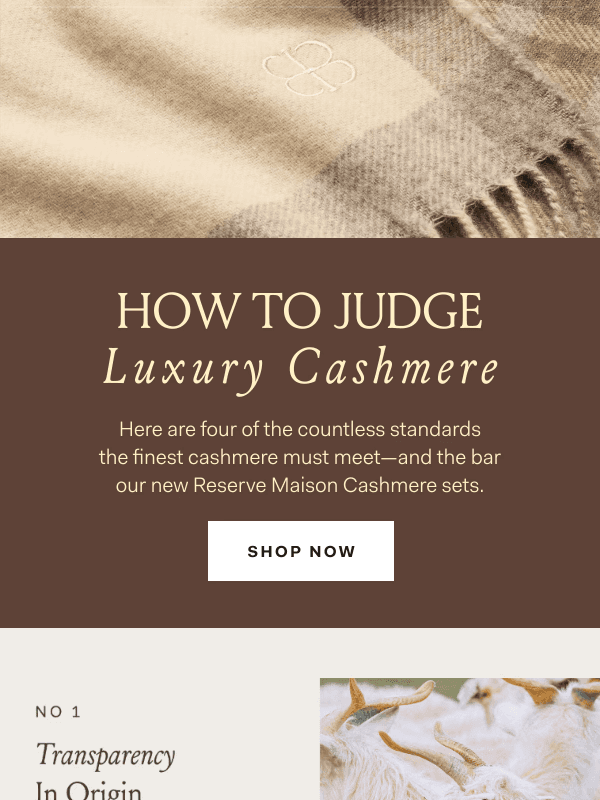 Newsletter preview: 4 ways to judge luxury cashmere
