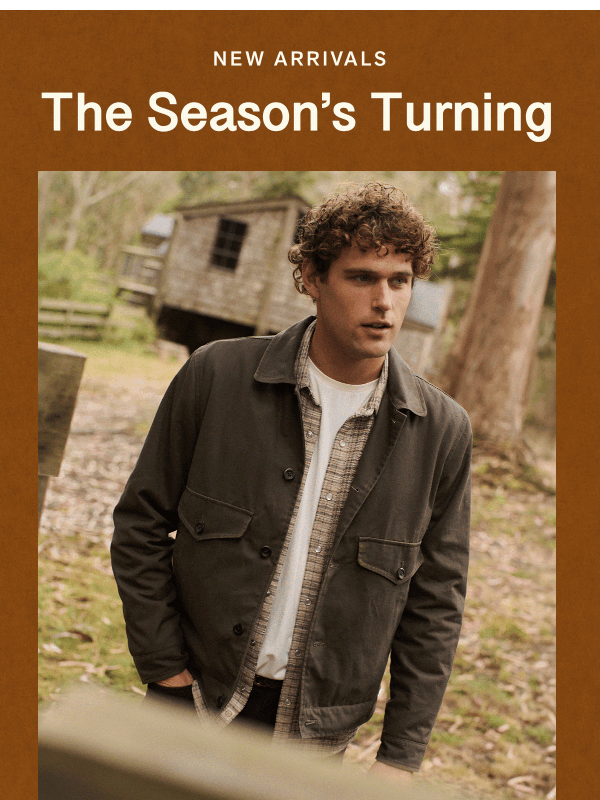 Newsletter preview: New Arrivals. A Lot of Them.