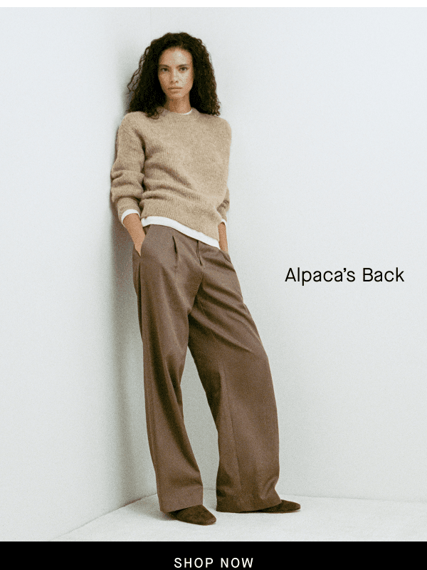 Newsletter preview: Back to Alpaca