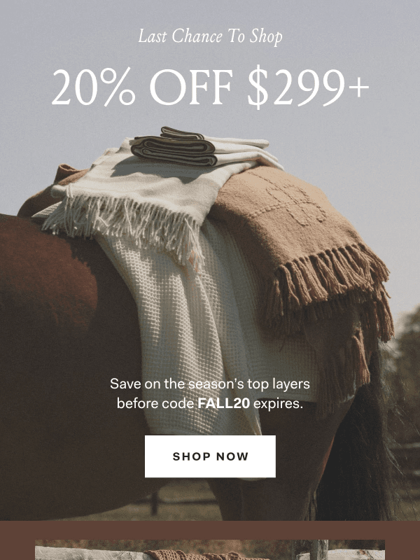 Newsletter preview: Hurry: 20% off sitewide is ending soon