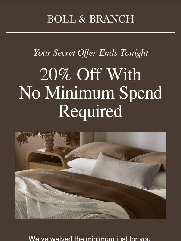 Newsletter preview: Your secret offer ends tonight