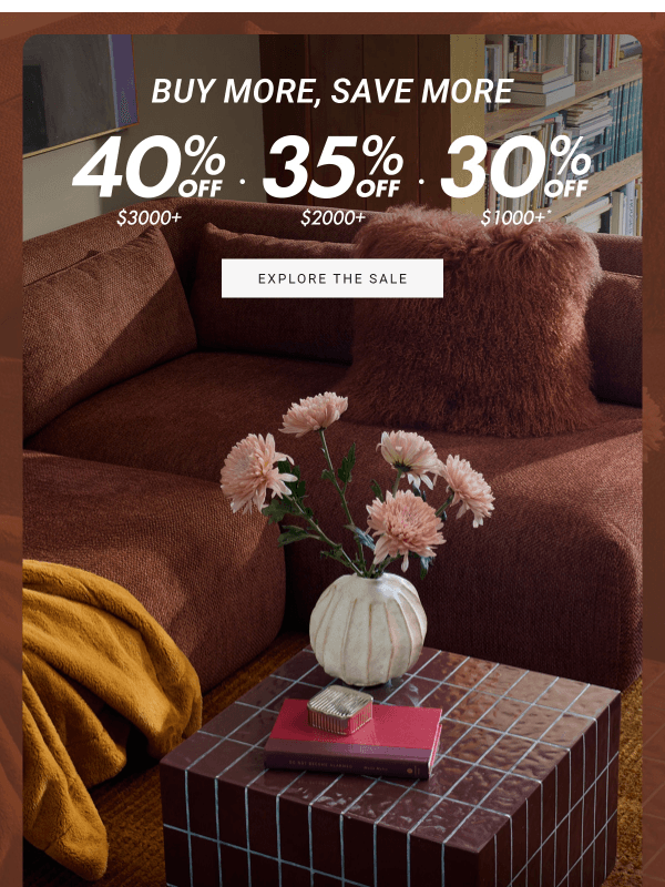 Newsletter preview: 🥺 Buy More Save More is ending...