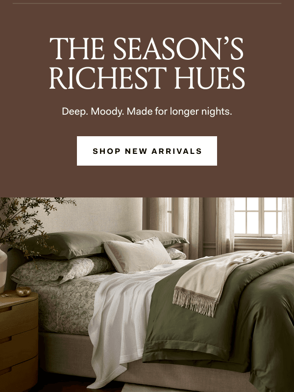 Newsletter preview: Deep, moody, made for longer nights 🤎