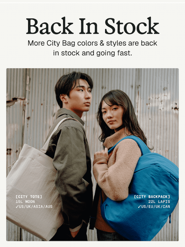 Newsletter preview: Back In Stock: City Bags