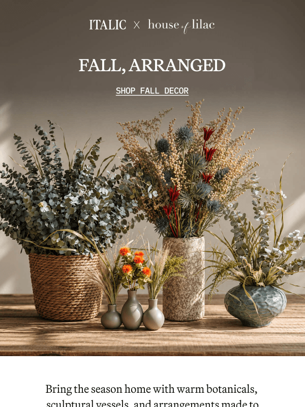 Newsletter preview: The Fall Botanicals Edit